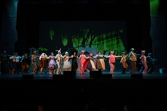 ECCT-Shrek-1184