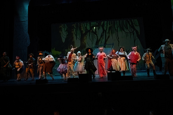 ECCT-Shrek-1191