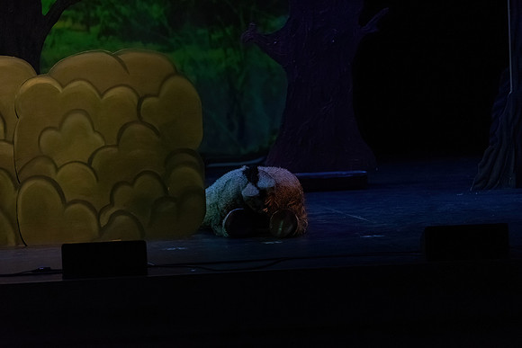 ECCT-Shrek-1252
