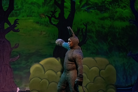 ECCT-Shrek-1255