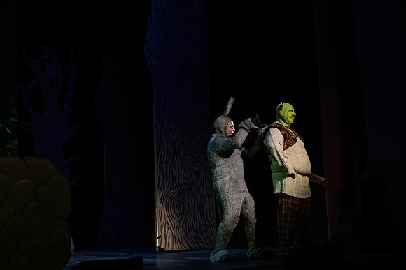 ECCT-Shrek-1291