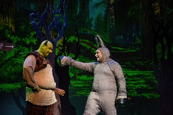 ECCT-Shrek-1310