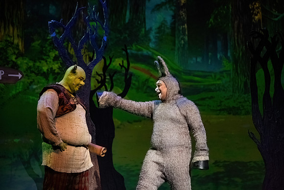 ECCT-Shrek-1311