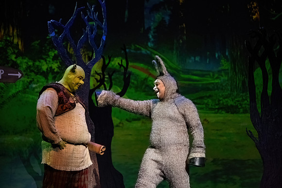 ECCT-Shrek-1312