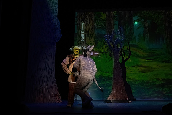ECCT-Shrek-1317