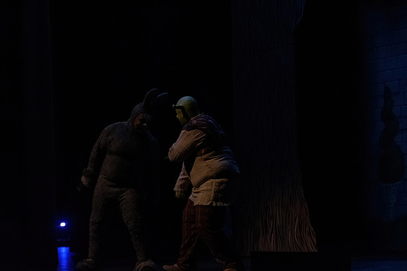 ECCT-Shrek-1389