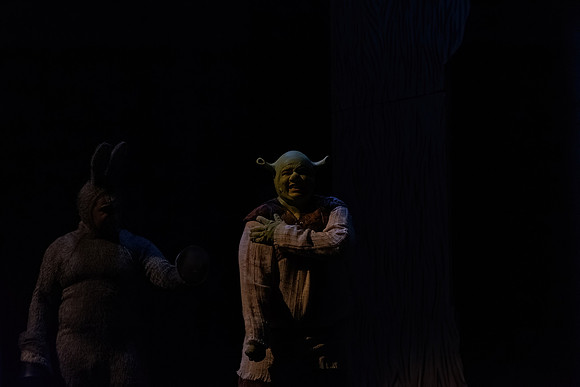 ECCT-Shrek-1390