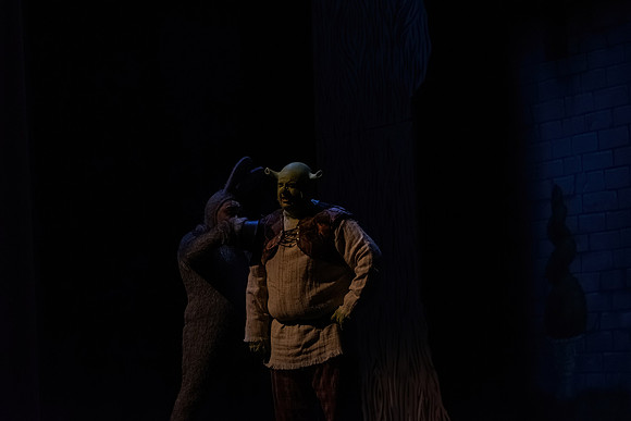 ECCT-Shrek-1391