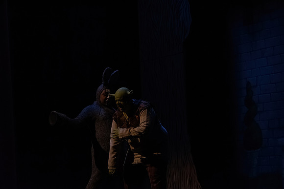 ECCT-Shrek-1392