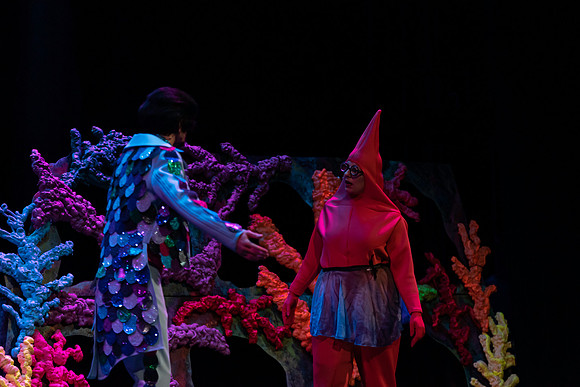 ECCT-RainbowFish-1026